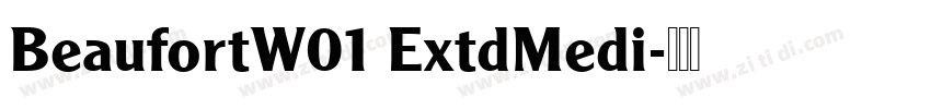 BeaufortW01 ExtdMedi字体转换